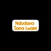 Ndodana - Sana Lwami - Single